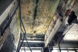 Best Residential Mold Inspection & Testing  in Roxana, IL